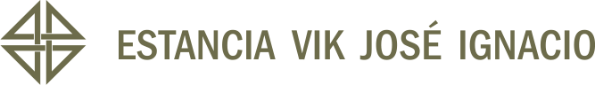 Logo Viña VIK